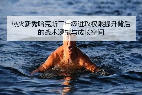 热火新秀哈克斯二年级进攻权限提升背后的战术逻辑与成长空间
