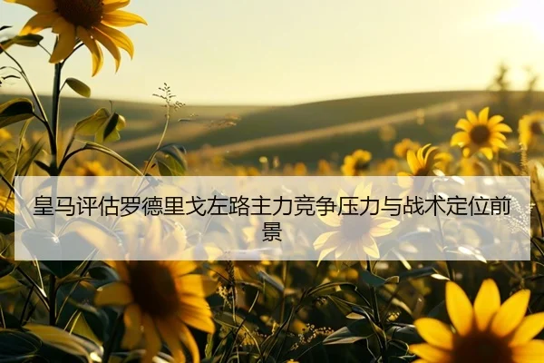皇马评估罗德里戈左路主力竞争压力与战术定位前景